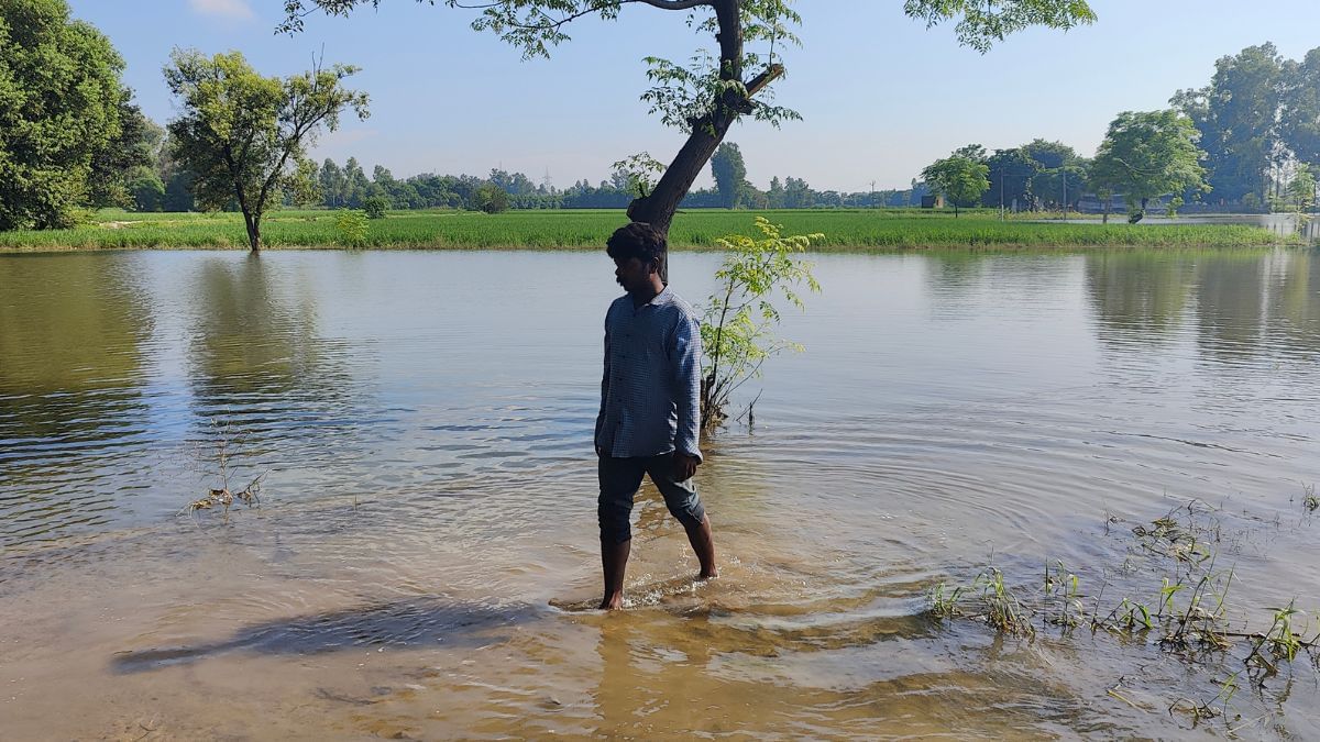 Inundated agricultural fields in Punjab after the Beas floods | Soumya Pillai, ThePrint