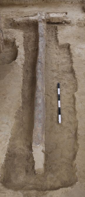 A photo of a pole and yoke with copper inlays found in Burial Pit 3 at Sinauli | Photo courtesy of ASI