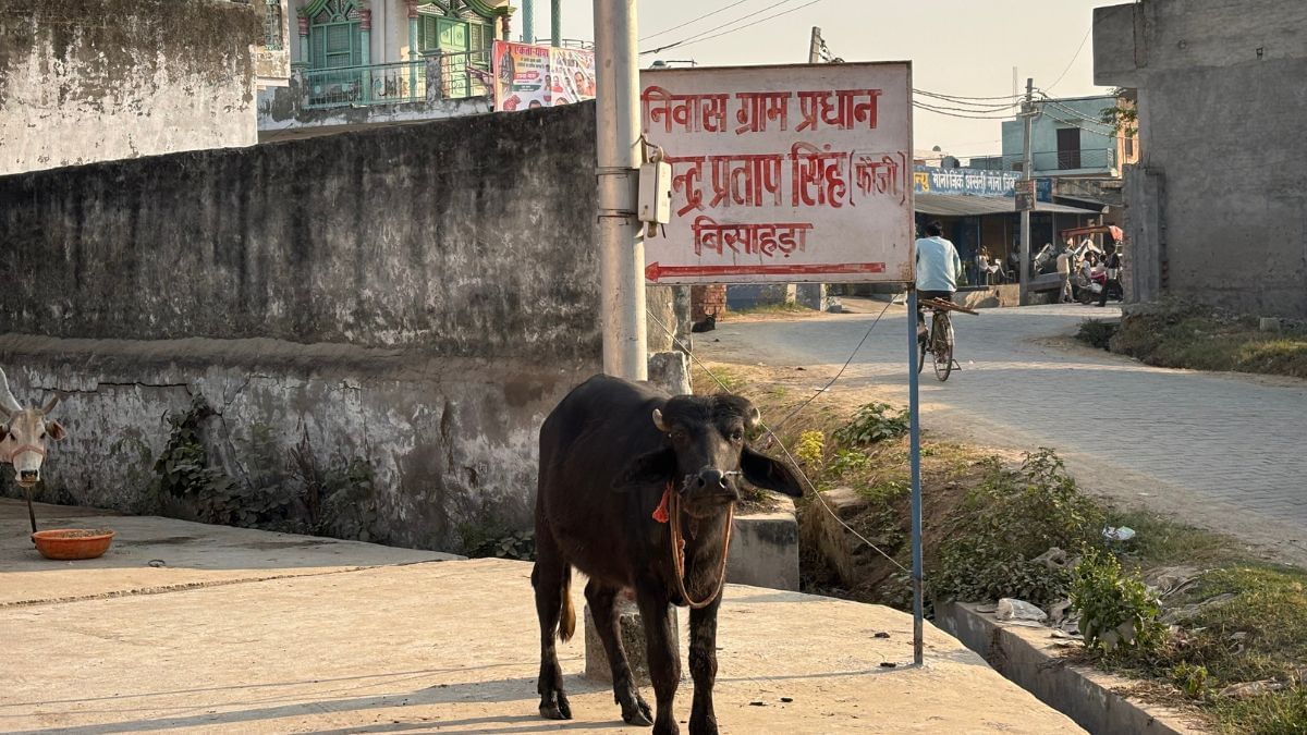 बिसाड़ा गांव के बाहर की सड़क.