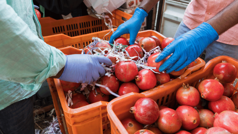 Price wars between quick-delivery firms hits Eternal & Swiggy shares