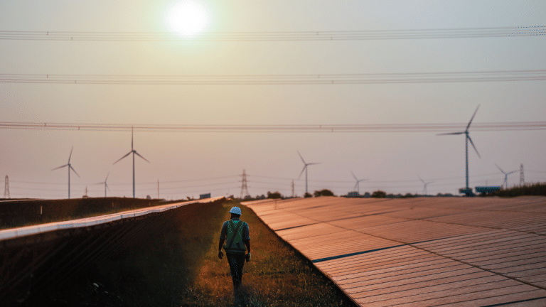 India may cancel green projects struggling to find clients