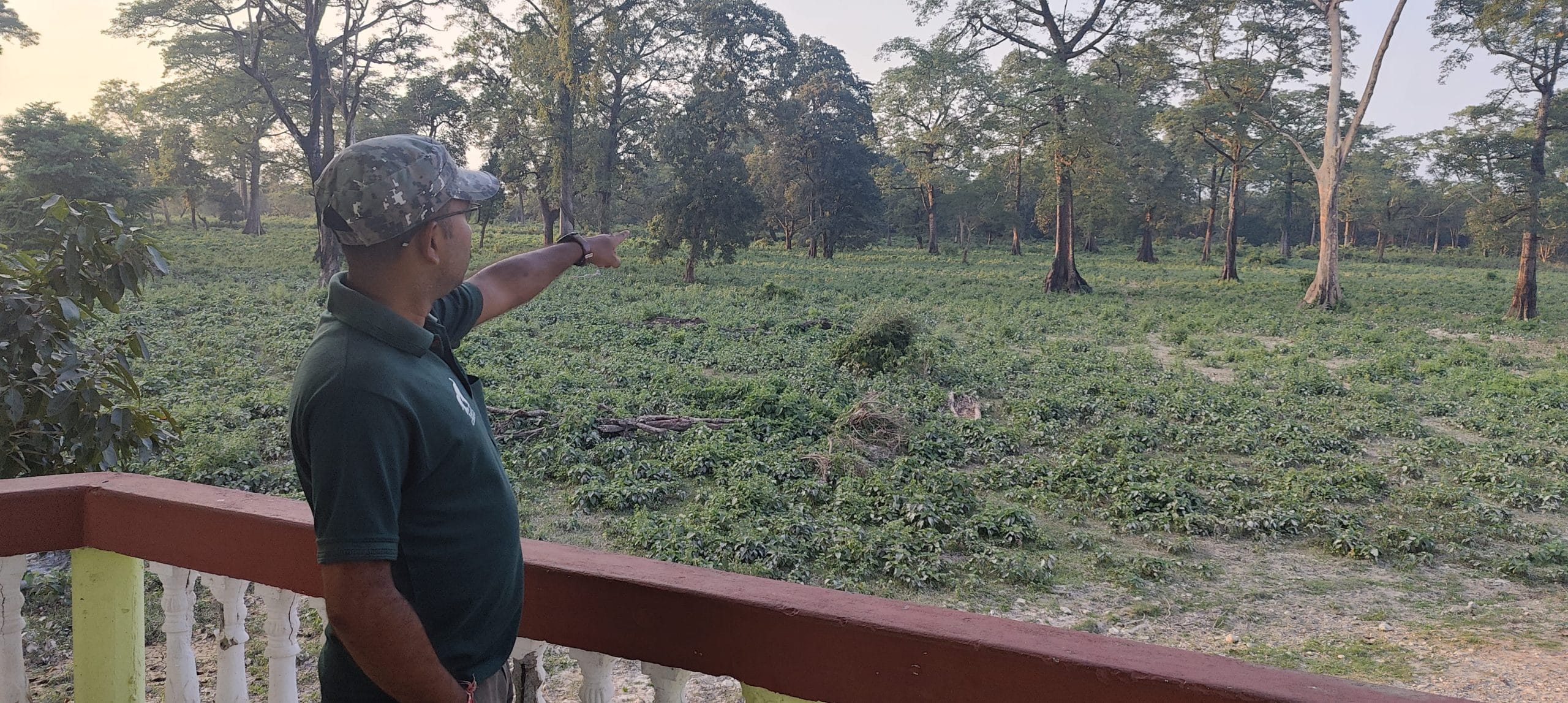 Kallan Gope, a guide at the park, shows the surroundings | Photo: Soumya Pillai, ThePrint