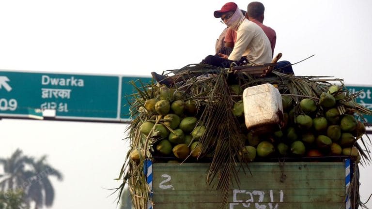 Gujarat rules North India’s coconut market. It’s edging out Kerala, Karnataka