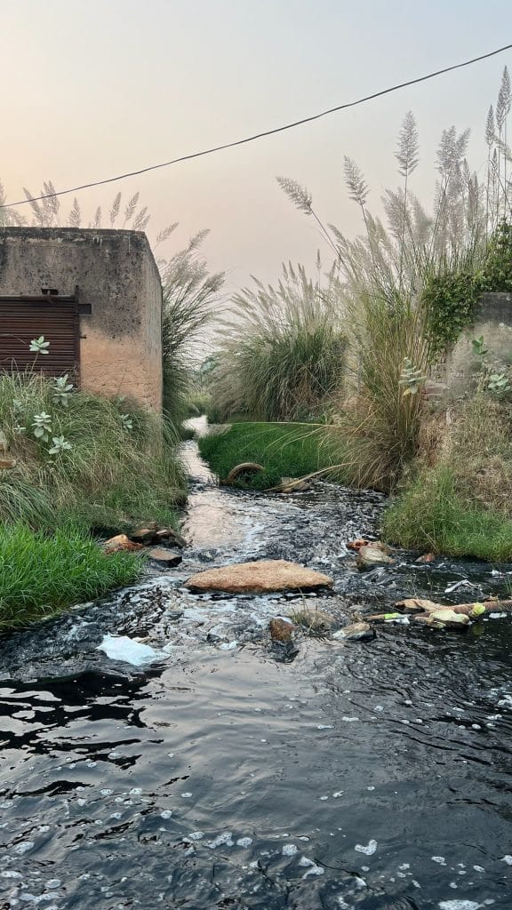 Bhiwadi toxic sludge