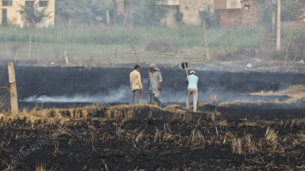 Stubble burning is one of the major causes of air pollution in Delhi-National Capital Region | Suraj Singh Bisht | ThePrint