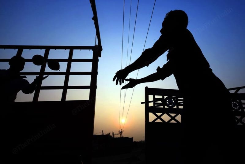 सूरज ढलते वक्त मजदूर नारियल ट्रक में भरते हुए | फोटो: मनीषा मोंडल/दिप्रिंट