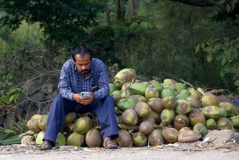 गुजरात का नारियल हाईवे सोमनाथ, जूनागढ़, वलसाड और भावनगर जैसे तटीय जिलों से होकर गुजरता है | फोटो: मनीषा मोंडल/दिप्रिंट